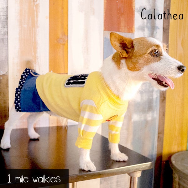 1 MILE WALKIES | ワンマイルウォーキーズ | おしゃれな犬服と愛犬の
