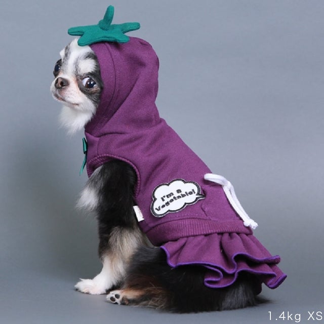 GODPIVA｜ゴッドピバ正規取扱 | おしゃれな犬服と愛犬の食事なら谷根千