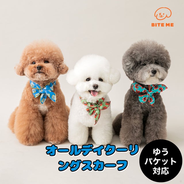 誕生日プレゼント BITE ME｜バイトミー | おしゃれな犬服と愛犬の食事なら谷根千の その他
