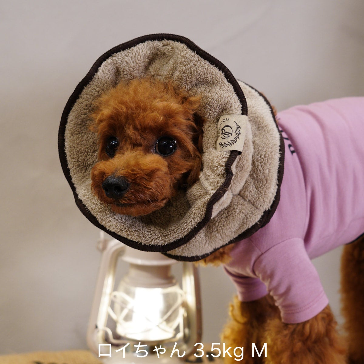 数量限定 PONODOG（ポノドッグ）タオル地スヌード コーヒー｜PONODOG&