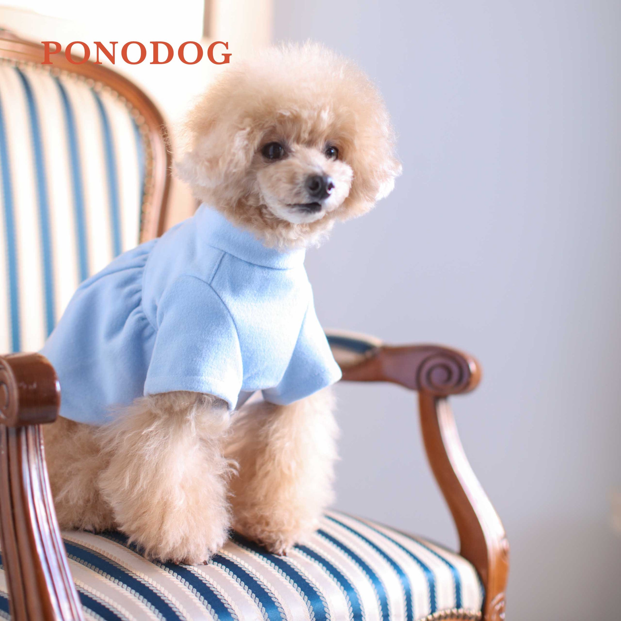 PONODOG（ポノドッグ）Luxeaze Flare Coat｜PONODOG&自由が丘公式
