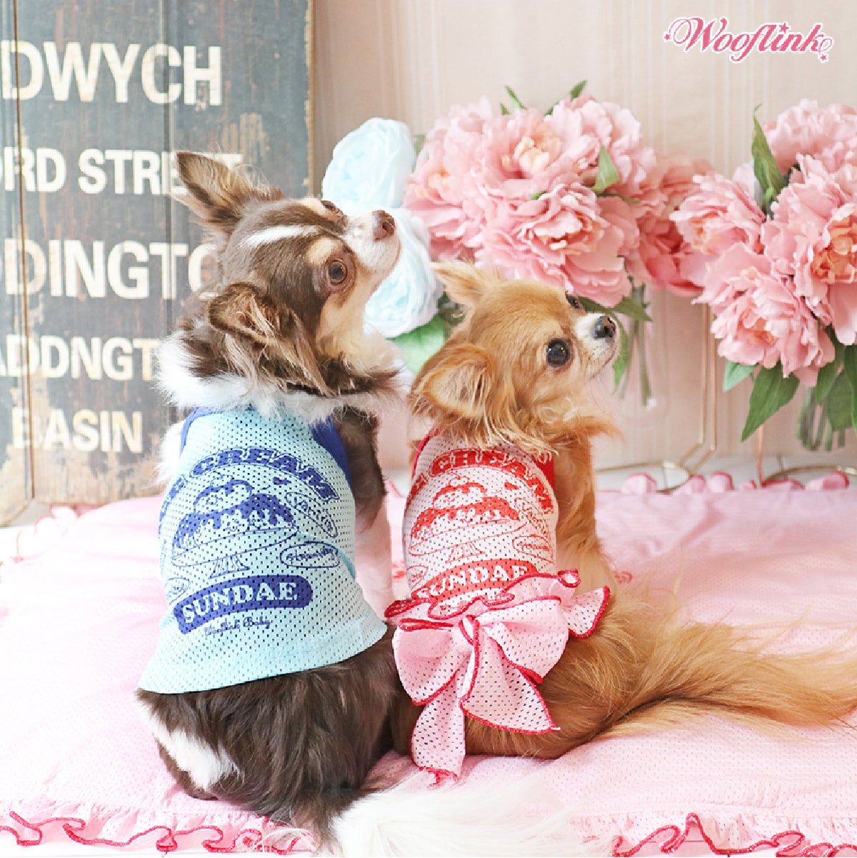 No.304・305・306 犬服ハンドメイド　バックオープンワンピース バックオープンワンピ – BUNNY APARTMENT