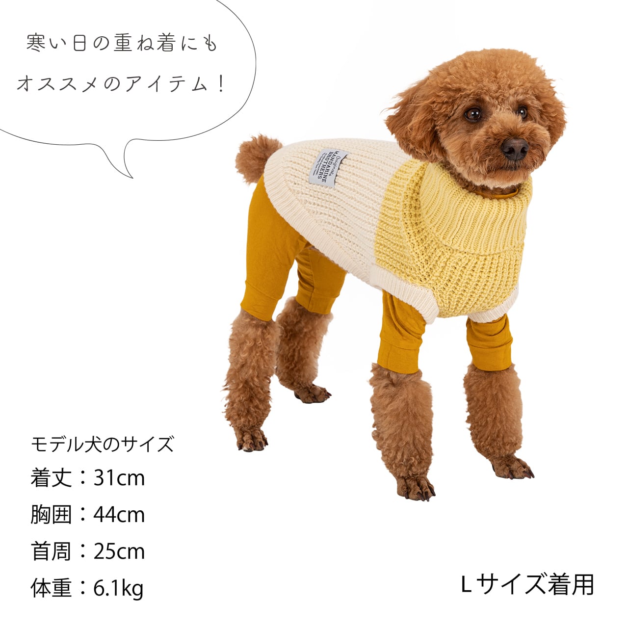 ニット・セーター 3 TAP Bichon Frise Knit (4color) Mandarine brothers（マンダリンブラザーズ）BICOLOR KNIT（M,L