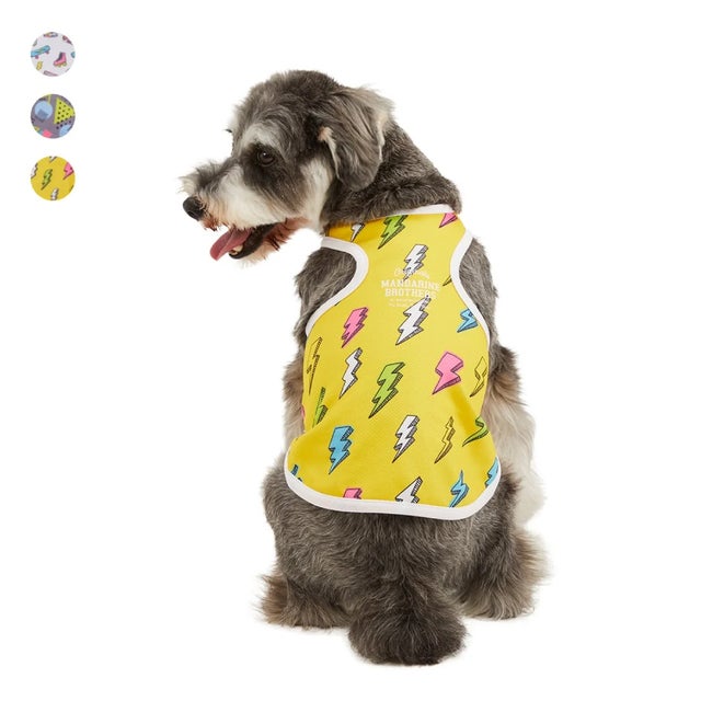 なぁな‪‪❤︎‬様❣️Lovely Bear♡ワンピ♡オーダー♡ハンドメイド犬服 DOGWEAR | おしゃれな犬服と愛犬の食事なら谷根千の谷根犬
