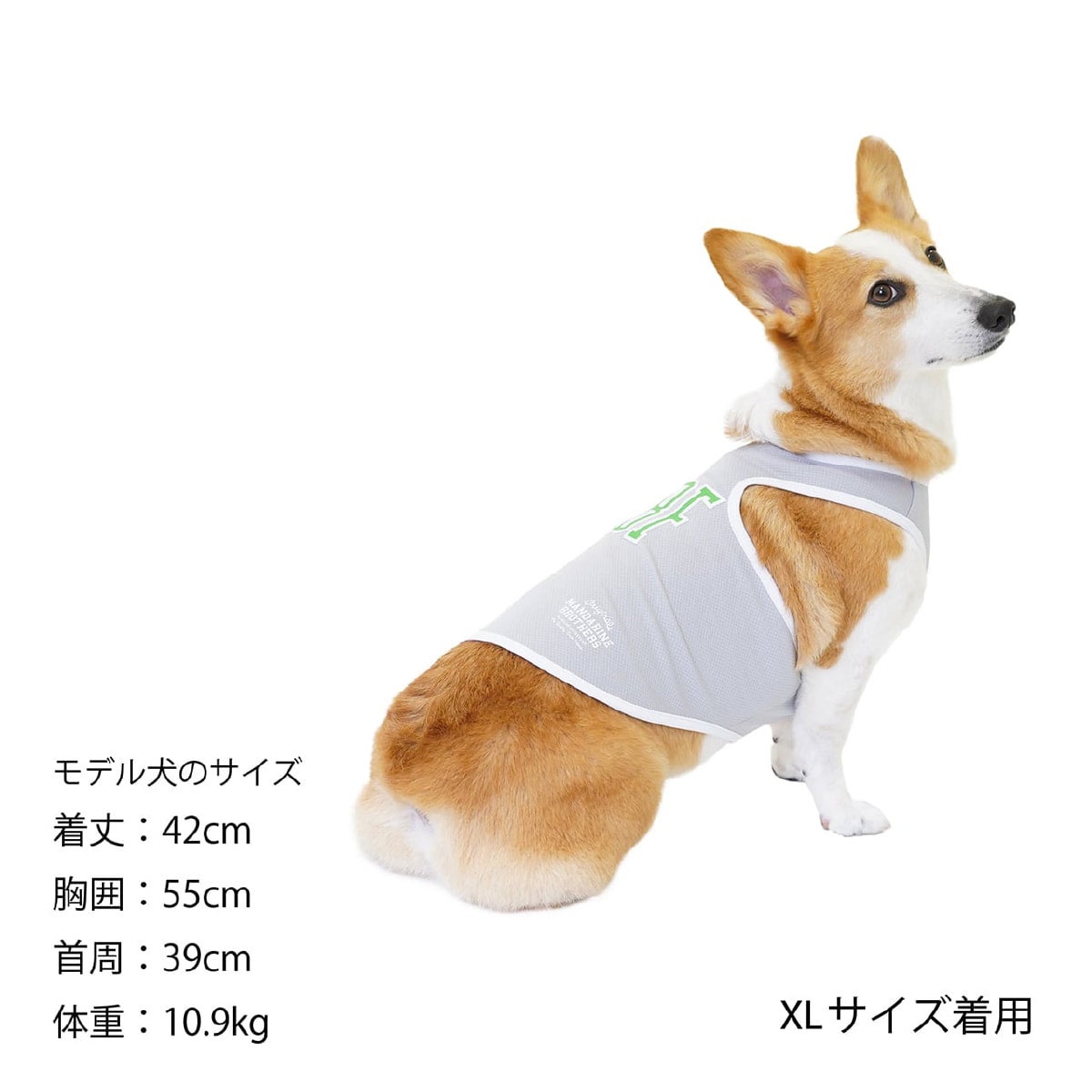 ⭐︎リンダ⭐︎ テンテンツツ tntntutu ベスト キャミ 犬 ファンシー