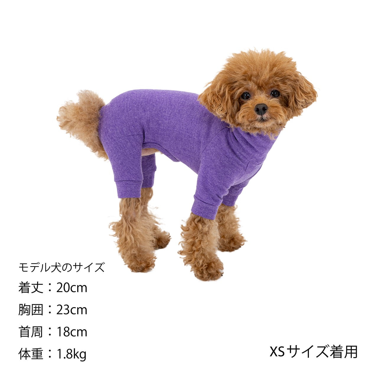 MANDARINE BROTHERS｜マンダリンブラザーズ | おしゃれな犬服と