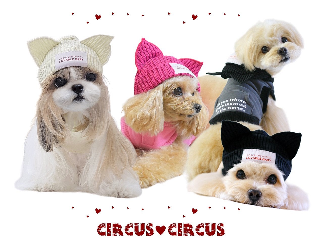 CIRCUS CIRCUS｜サーカスサーカス | おしゃれな犬服と愛犬の食事なら