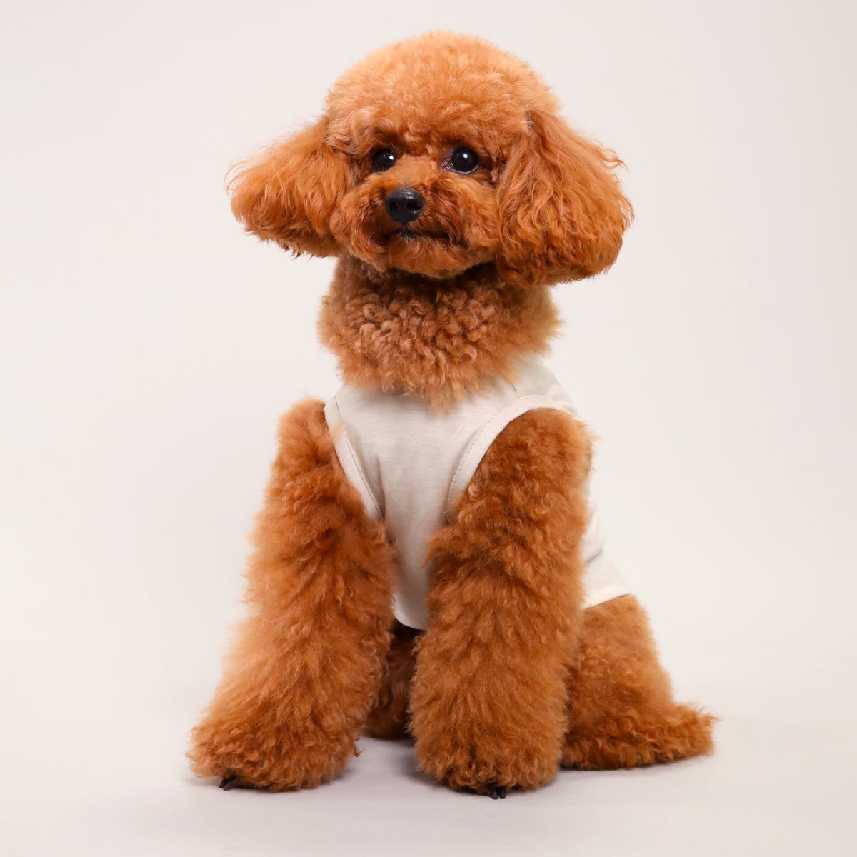 PONODOG（ポノドッグ）Luxeaze Icy Chill Tank グレージュ｜PONODOG&