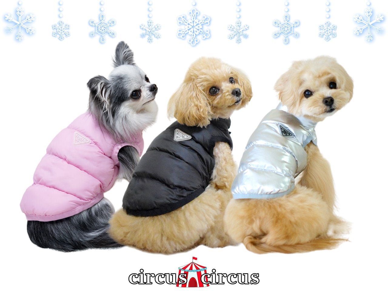 ジャケット／アウター | おしゃれな犬服と愛犬の食事なら谷根千の谷根犬