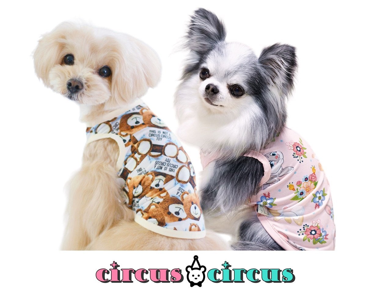 犬服・アクセサリー YUN Amazon | DERAYEE ペット 服 猫 犬 2025年 巳年 年 ウサギに変身