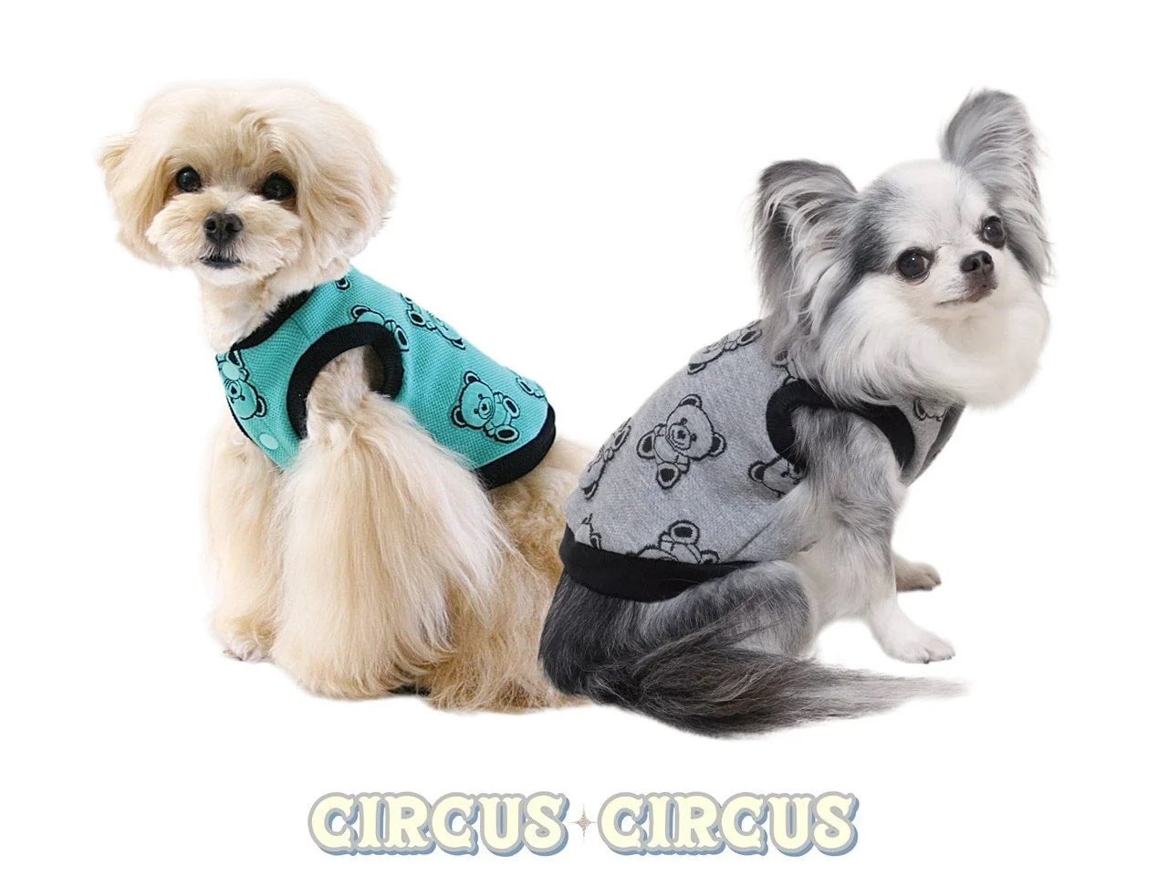 CIRCUS CIRCUS｜サーカスサーカス | おしゃれな犬服と愛犬の食事