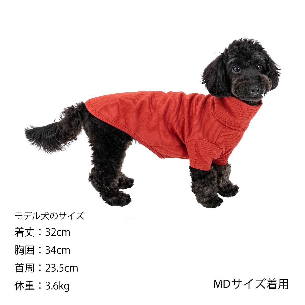 MANDARINE BROTHERS｜マンダリンブラザーズ | おしゃれな犬服と
