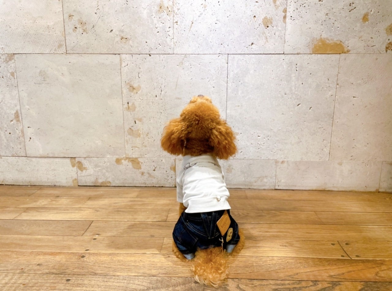 DENIM ROSE】完売品✿小型犬用プードルワッペンパーカー