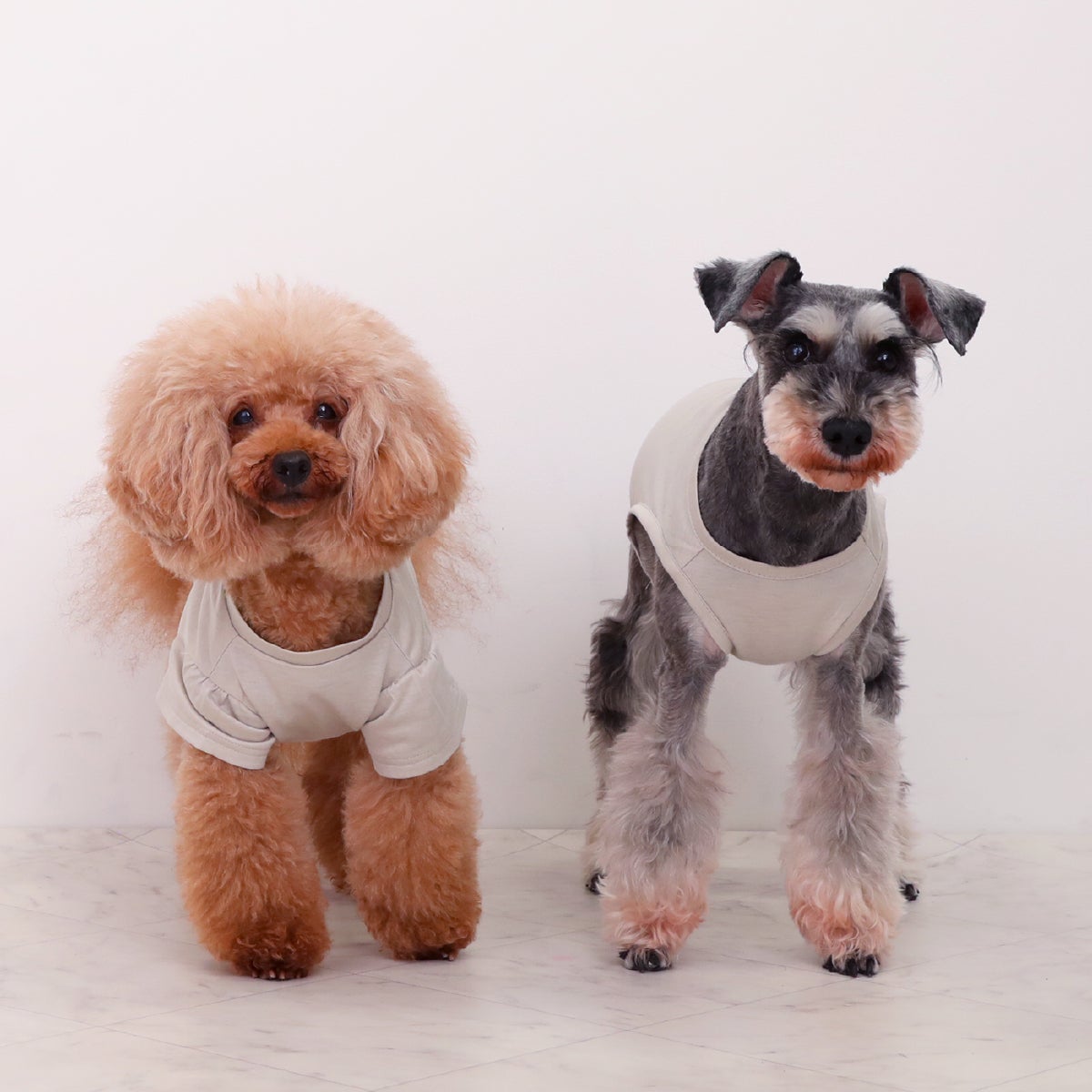 【美品】ドッグキス Luxury Aerbasi カシミア ママ用&カシミヤ犬服 fit=scale-down,w=1200