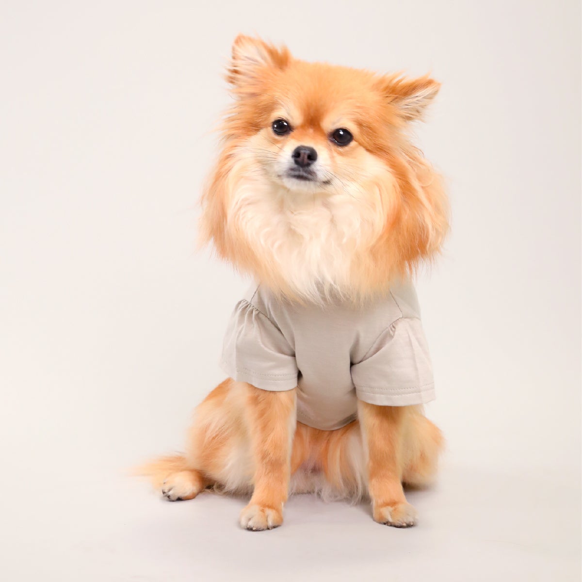 ❤Sサイズ❤dop タンバリン⚮̈ ペットベッド □インディゴ✕ホワイト