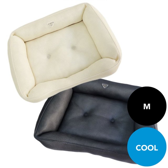 新品】circus circus Chic Mesh Bed Lサイズ