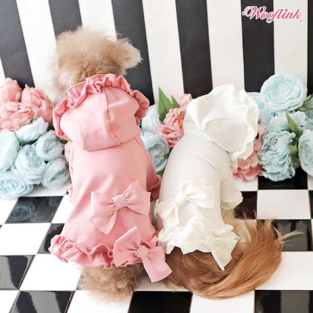 DOGWEAR | PONODOG&