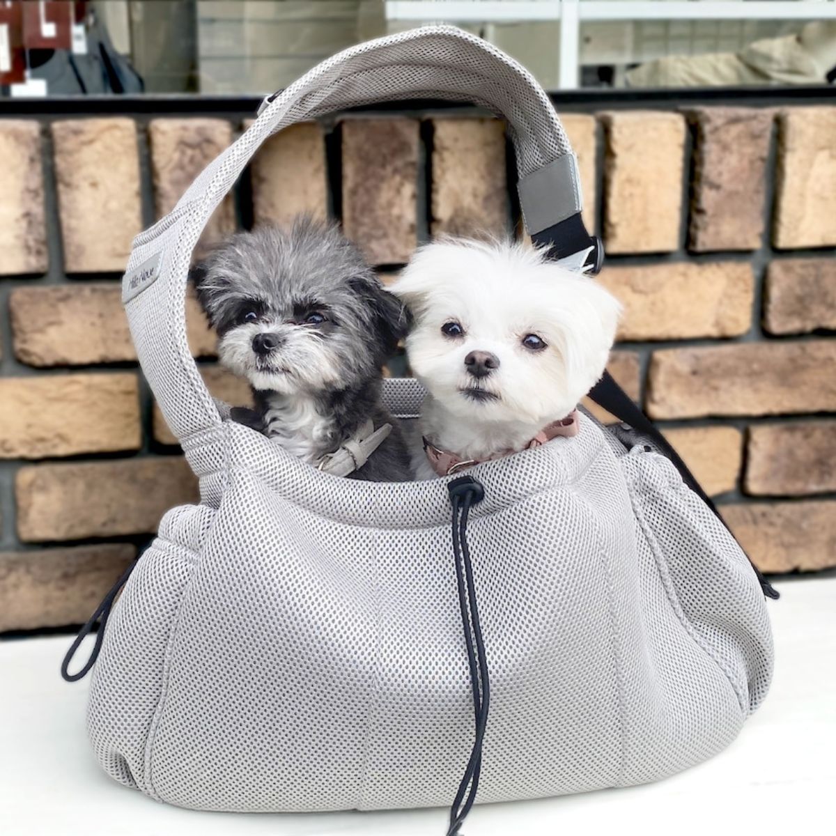 ミラヌー　ペットキャリーバッグ　難あり ミラヌー ペットキャリーバッグ 難あり CARRY BAG | Milla Noue