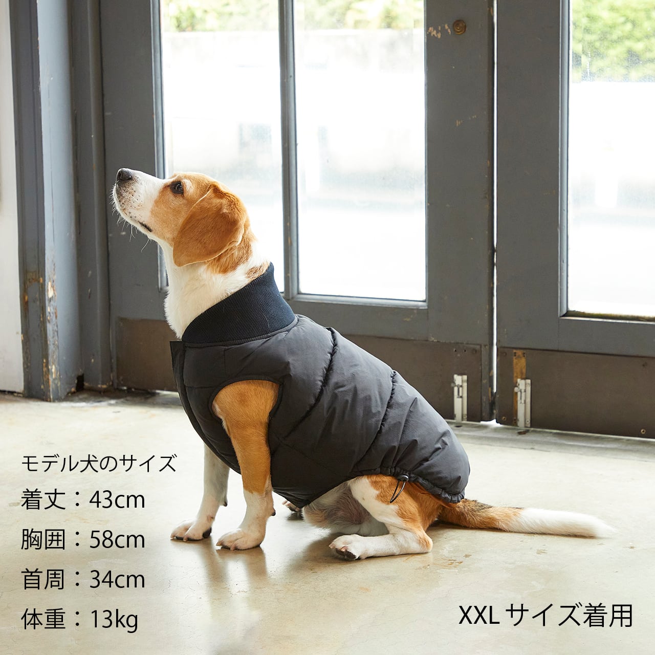 Atelier GG リバーシブルダウンベスト 犬服 犬 服 犬服 ドッグフェイス ダウン ベスト ジャケット