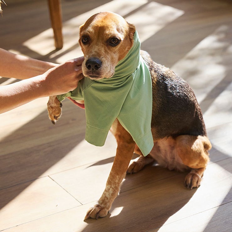 フィフィアンドロメオ カシミアニット Mサイズ 襟付きピンク黒水玉