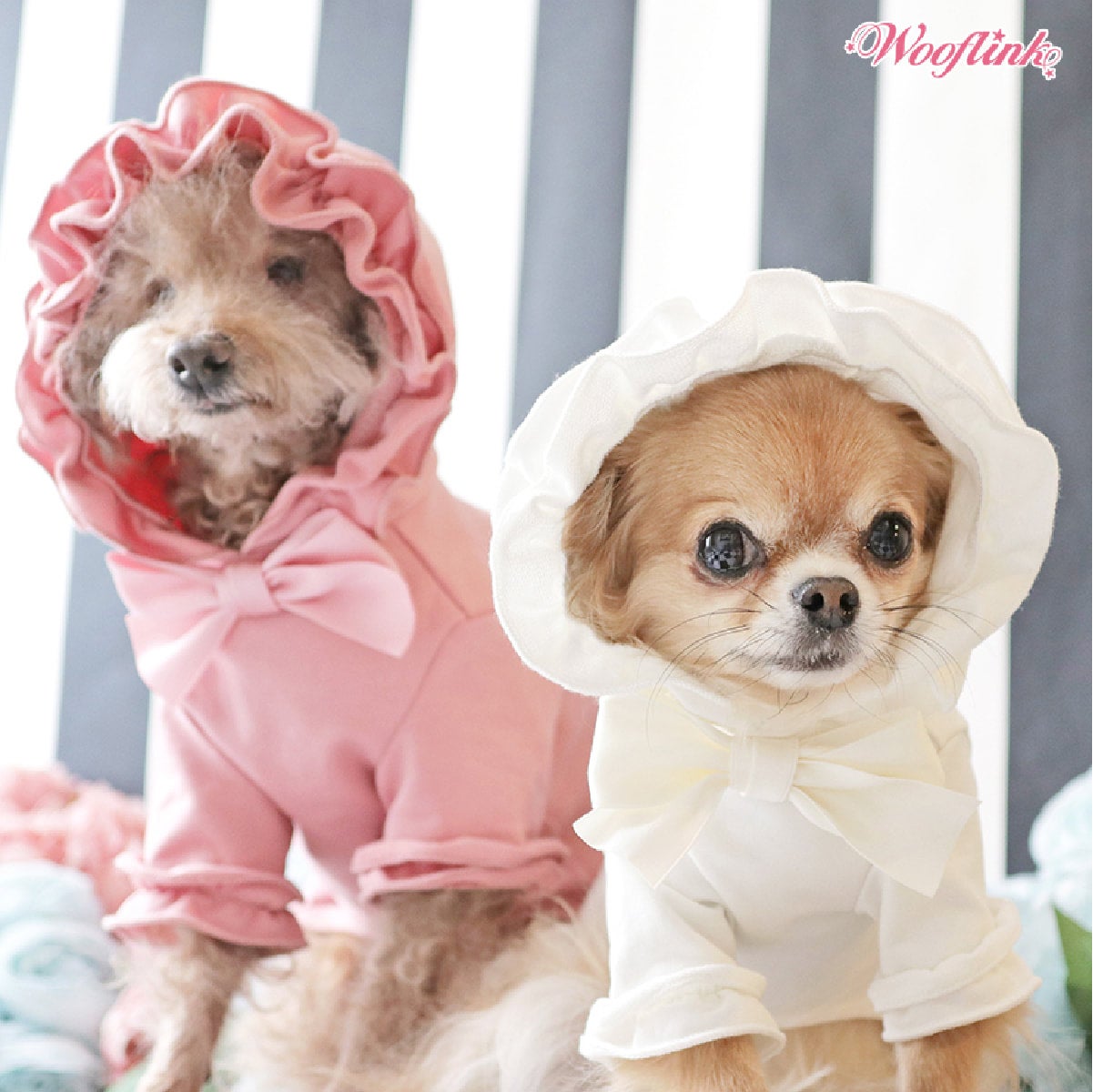 No.304・305・306 犬服ハンドメイド　バックオープンワンピース ワンピース | inucolle