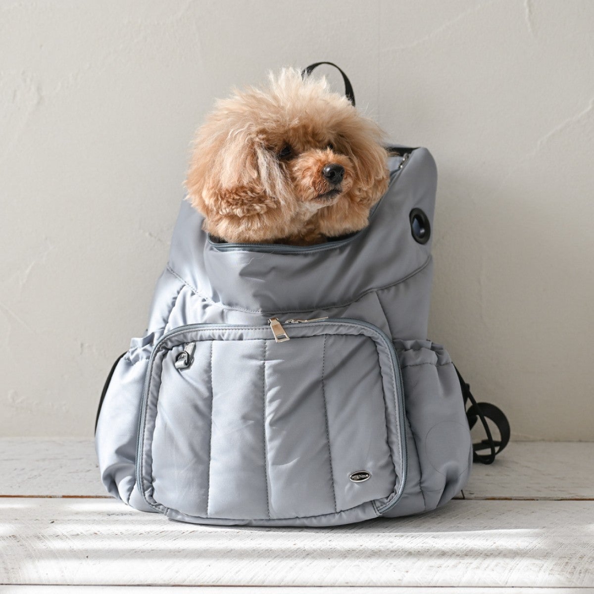 おしゃれな犬服と愛犬の食事なら谷根千の谷根犬