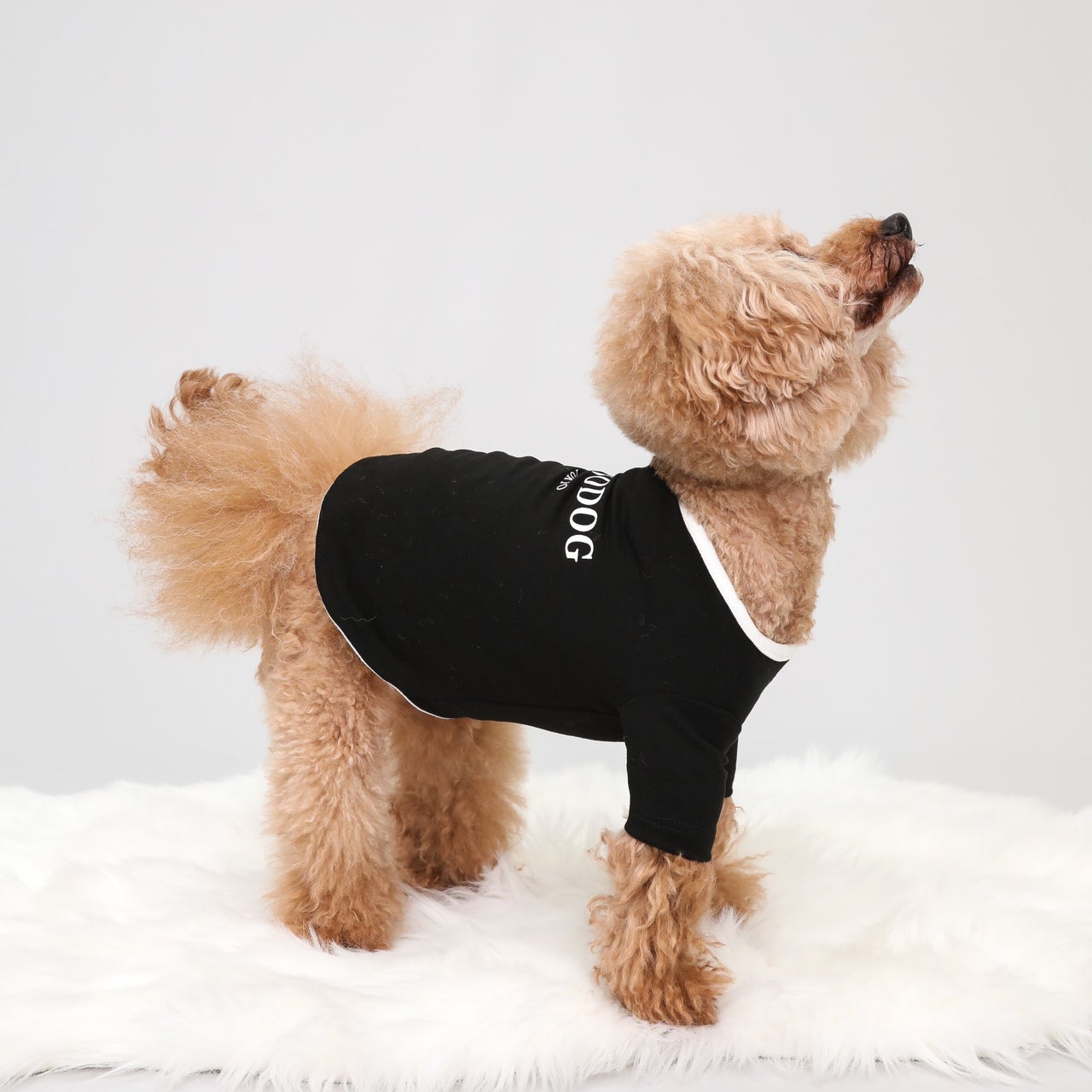 DOGWEAR | おしゃれな犬服と愛犬の食事なら谷根千の谷根犬