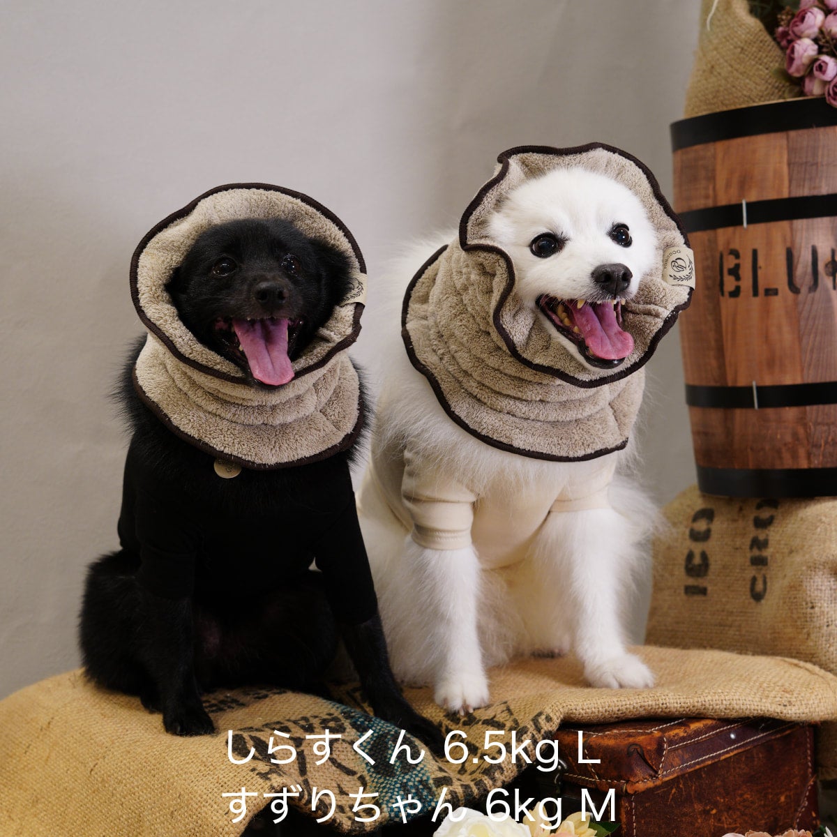 数量限定 PONODOG（ポノドッグ）タオル地スヌード コーヒー｜PONODOG&