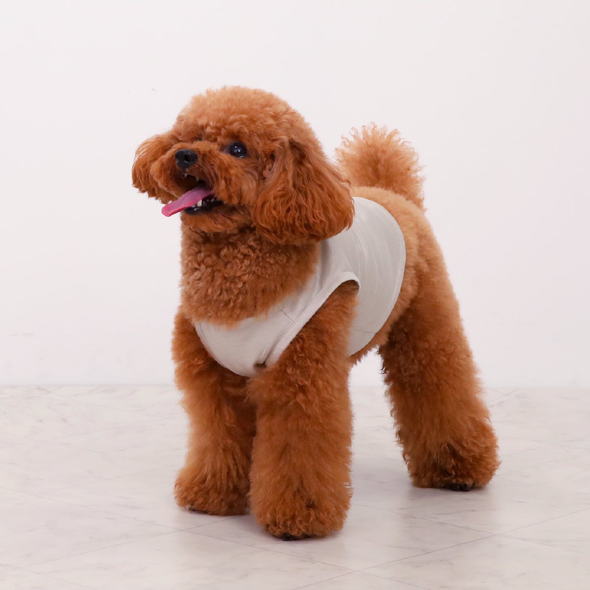 PONODOG（ポノドッグ）Luxeaze Icy Chill Tank グレージュ