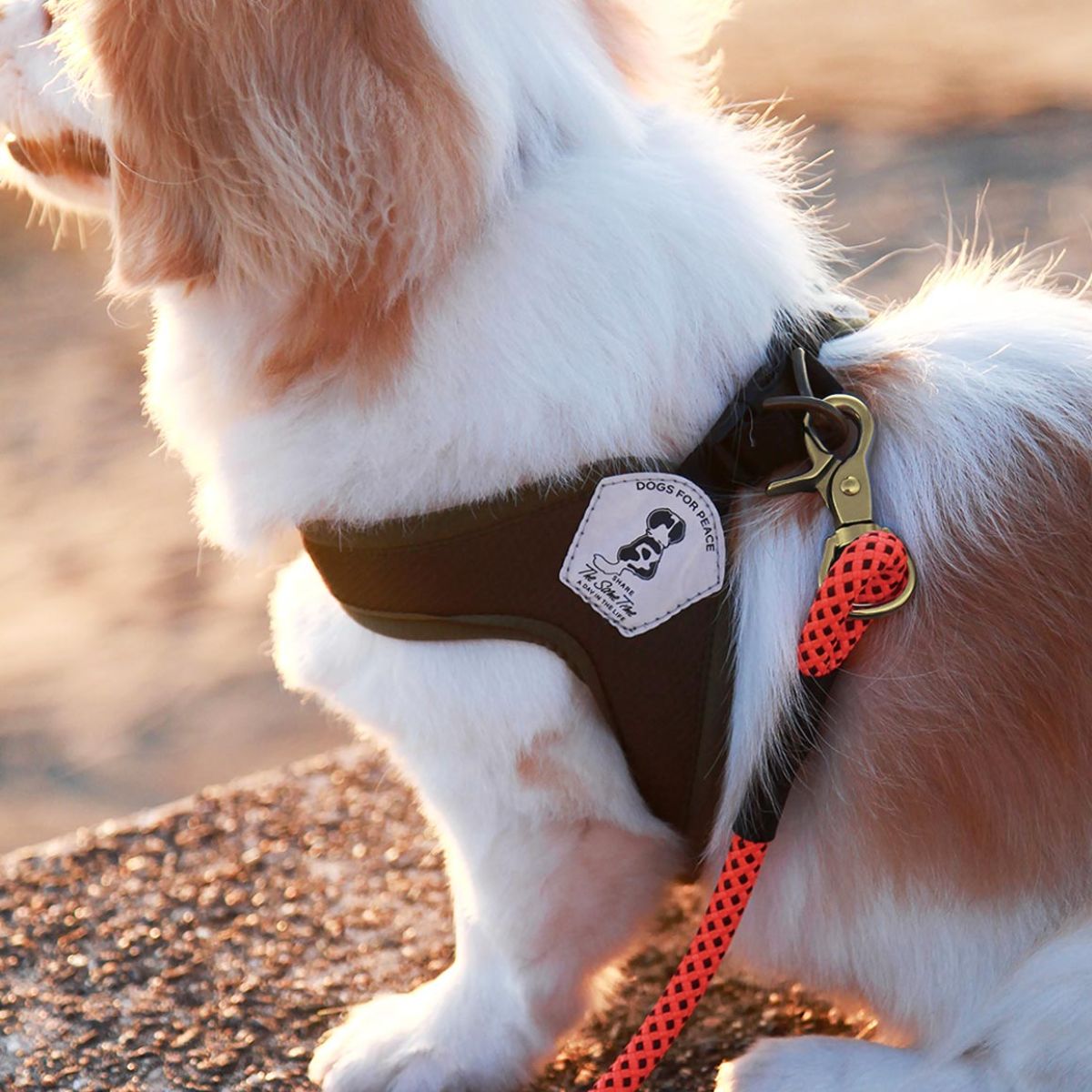 DOGS FOR PEACE(ドッグスフォーピース)TRIENT MOSQUITO REPELLENT EASY