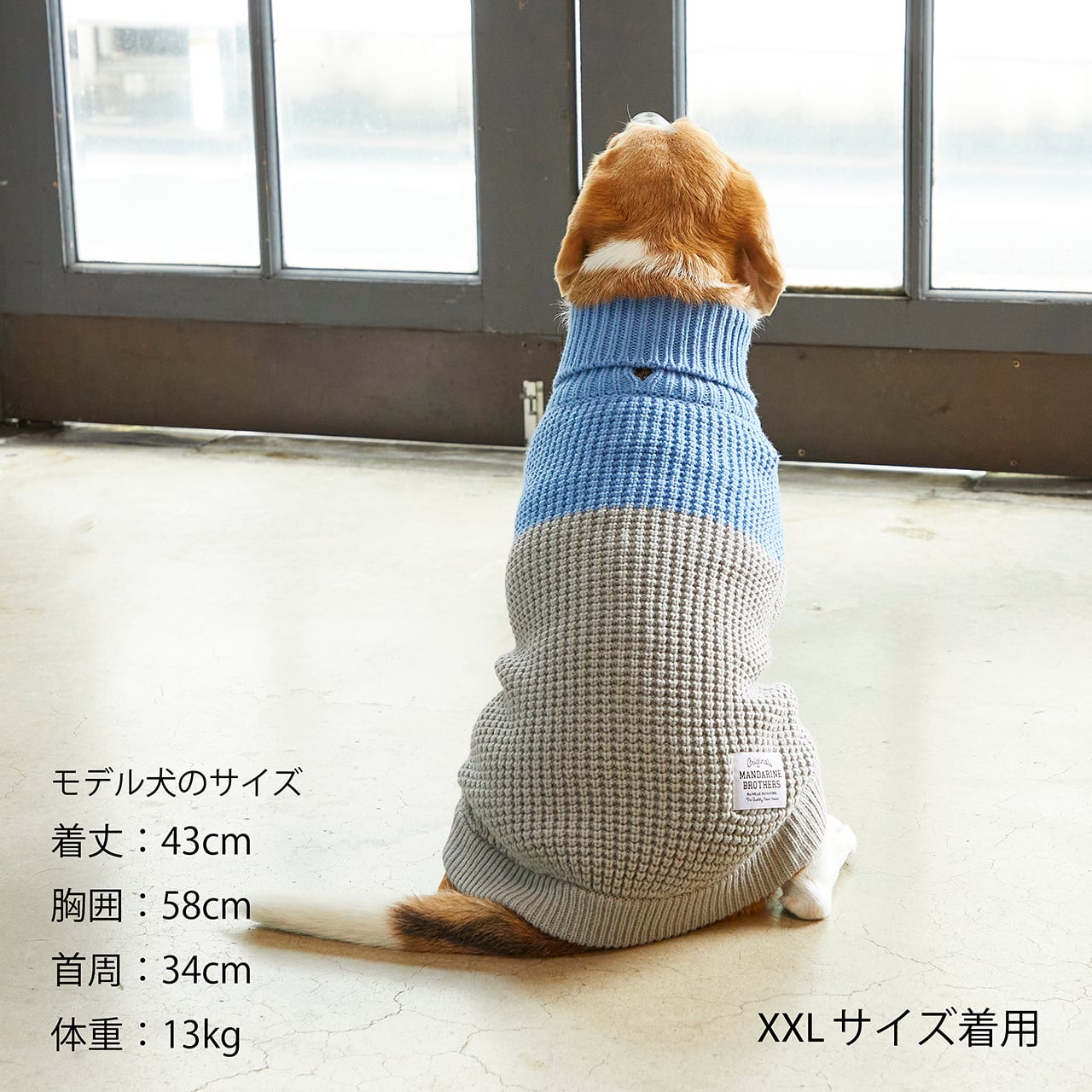 グーニーズ。Mサイズ Gucci GG 1423S – Sammy & Nino's Store