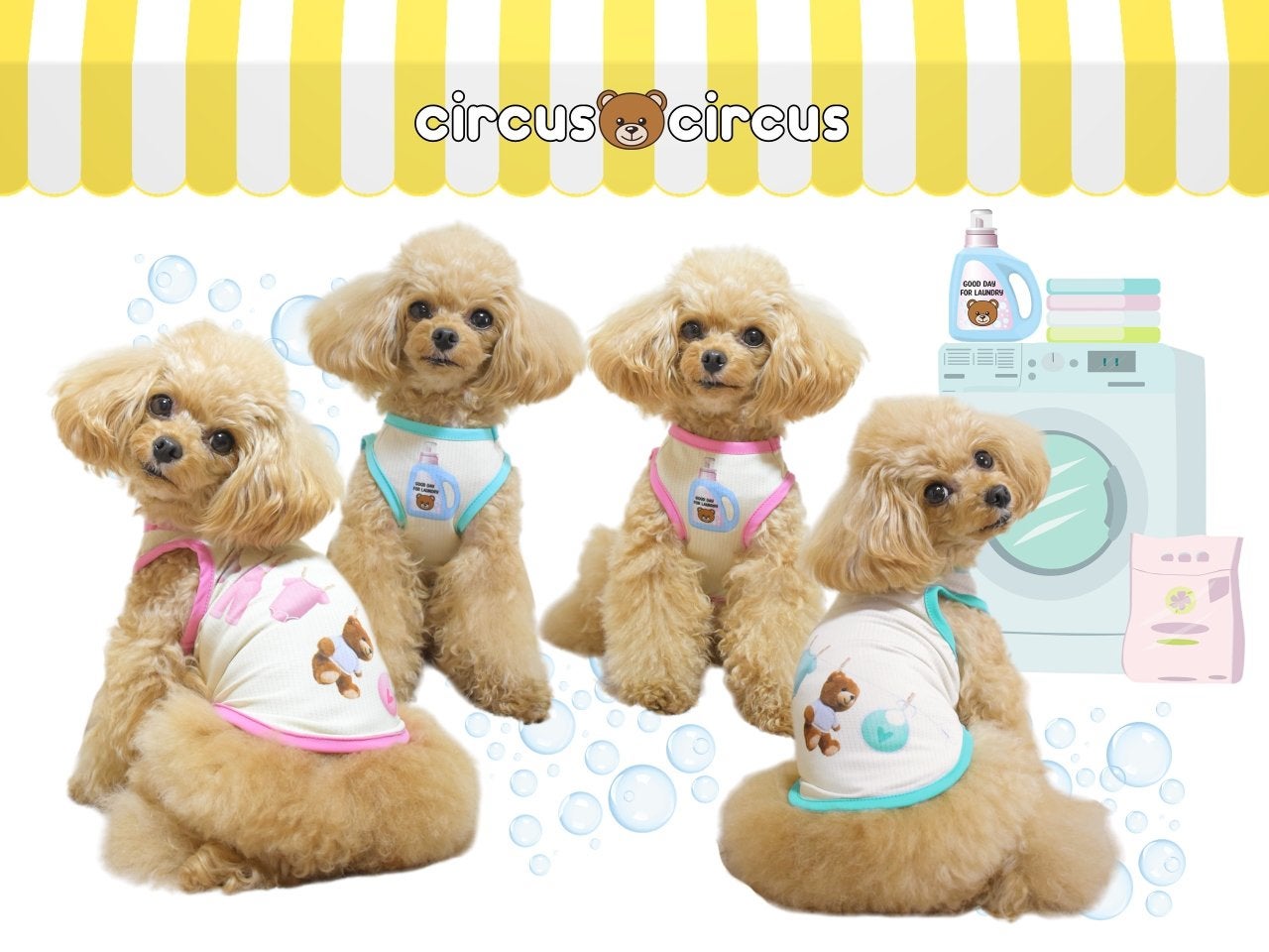 circus circus（サーカスサーカス）Laundry BearタンクSS ,M ,Lサイズ