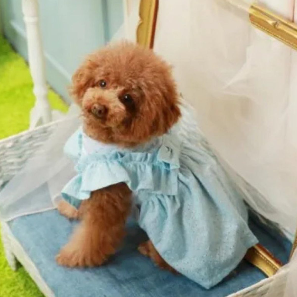 Denim rose（デニムローズ）ワッペンデニムパンツ｜PONODOG&自由が丘