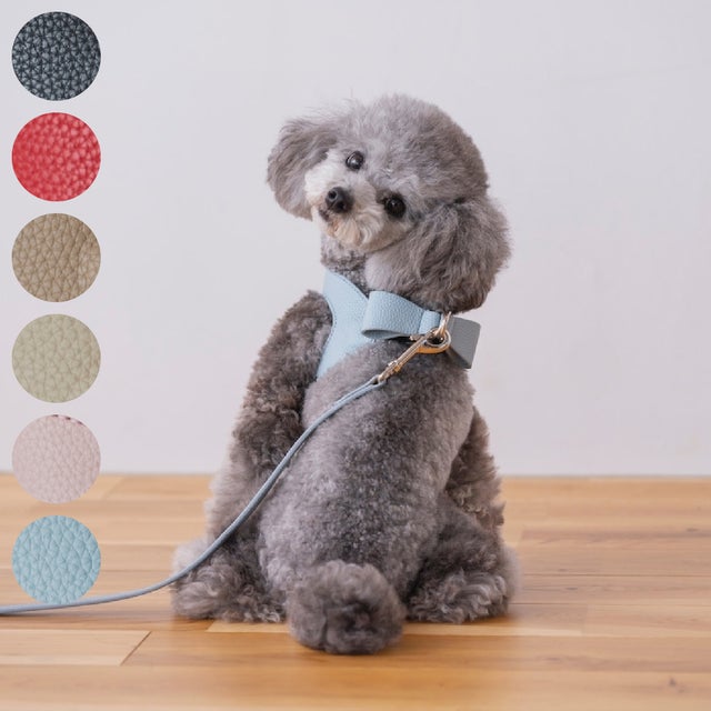 おしゃれな犬服と愛犬の食事なら谷根千の谷根犬