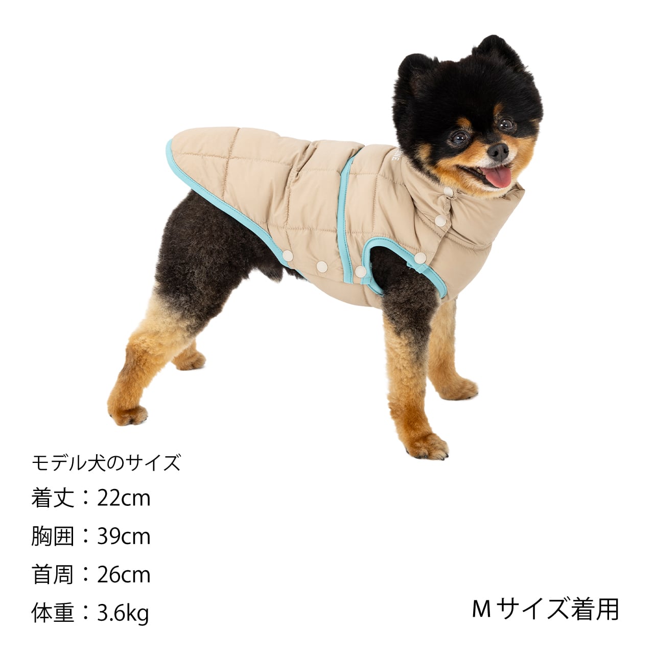 激安直営店 MANDARINE Puff Light BROTHERS（マンダリンブラザーズ）Super ソフビ