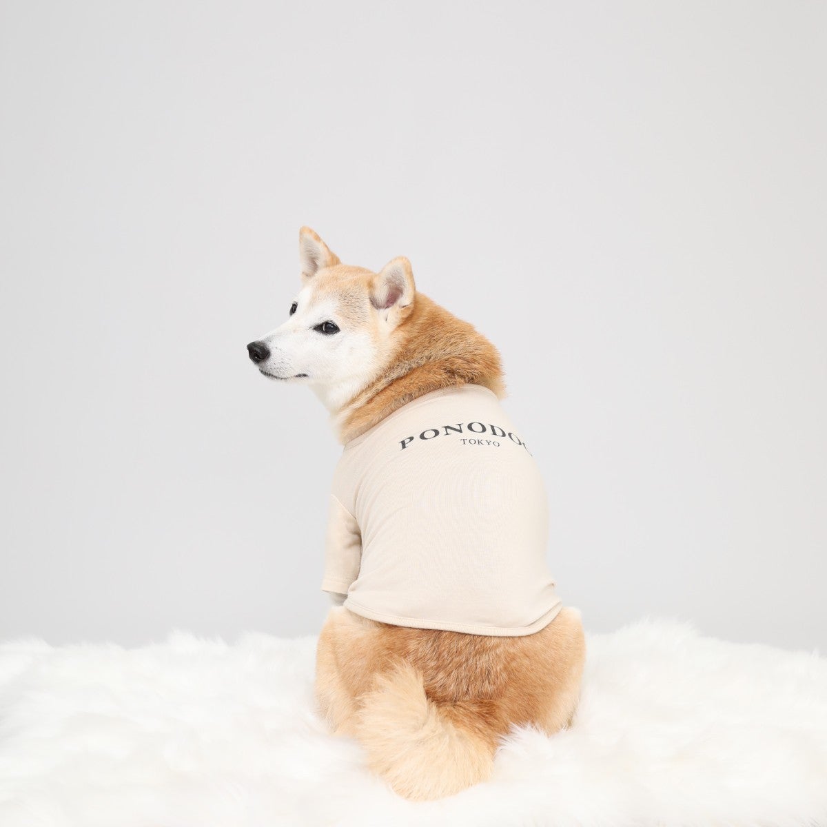 DOGWEAR | おしゃれな犬服と愛犬の食事なら谷根千の谷根犬