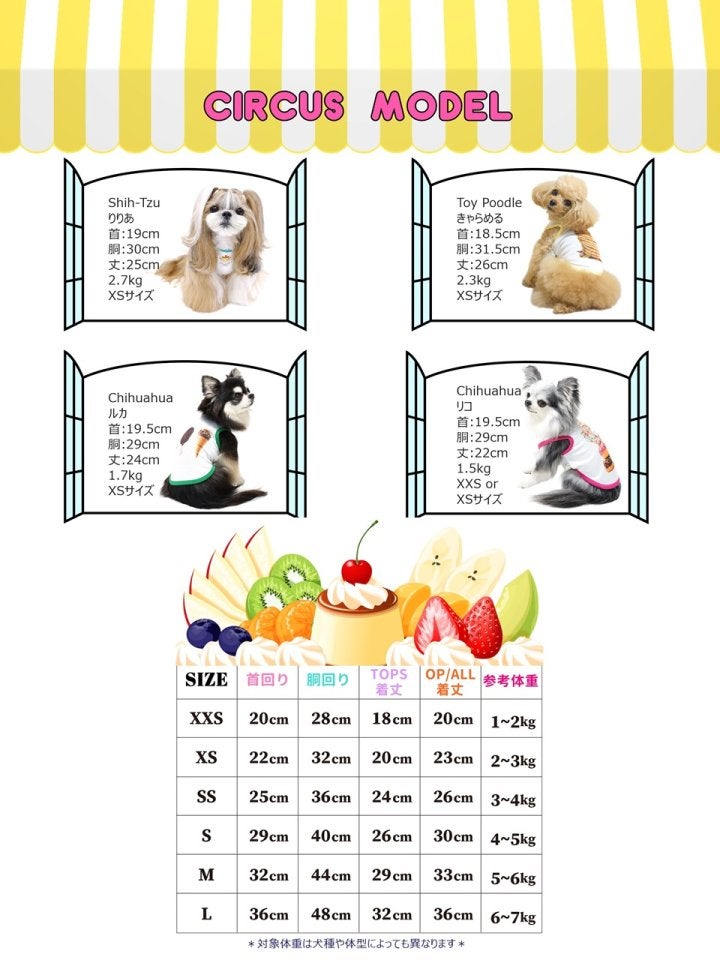 circus circus（サーカスサーカス）Laundry BearタンクSS ,M ,Lサイズ