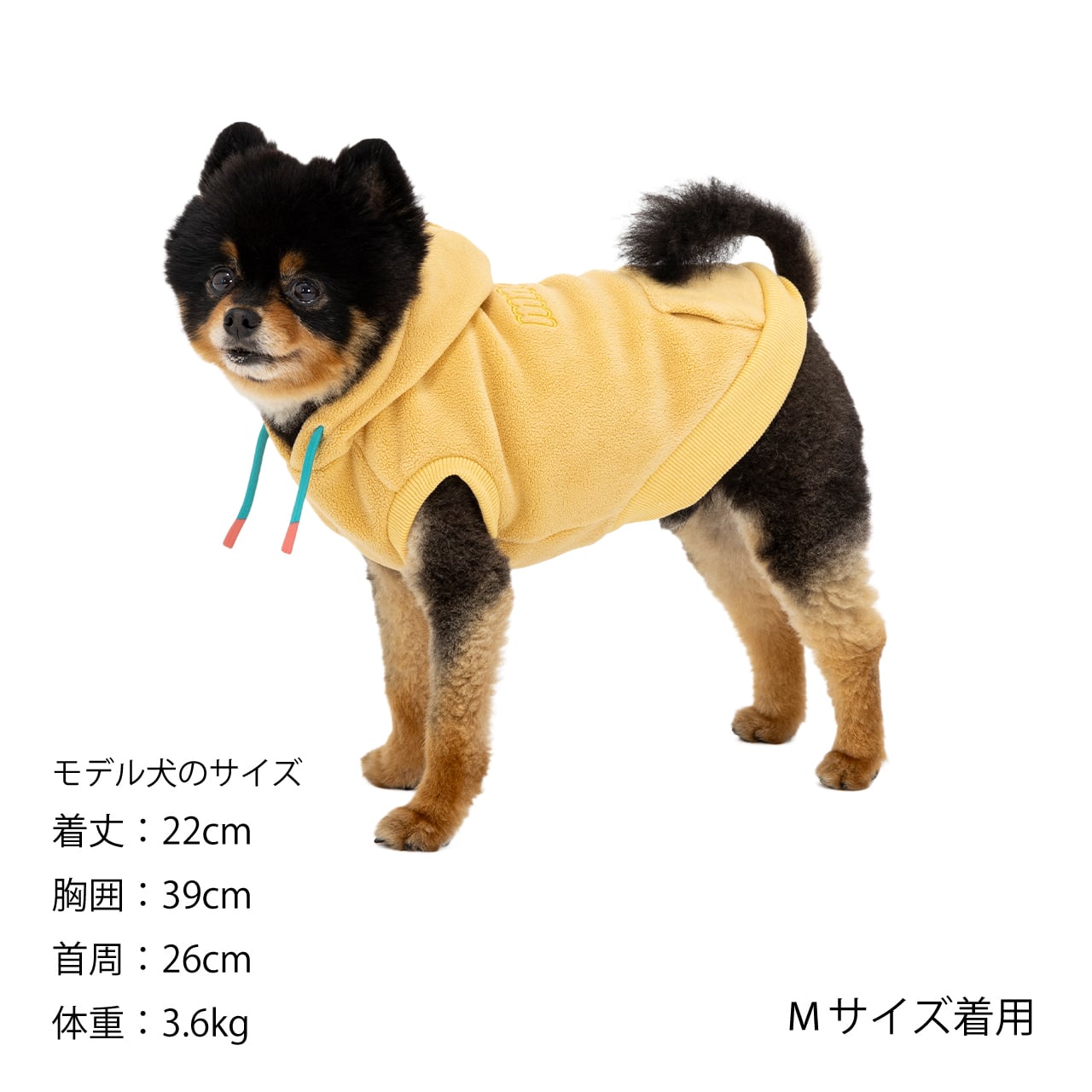MANDARINE BROTHERS（マンダリンブラザーズ）MNDRN Hoodie S ,M