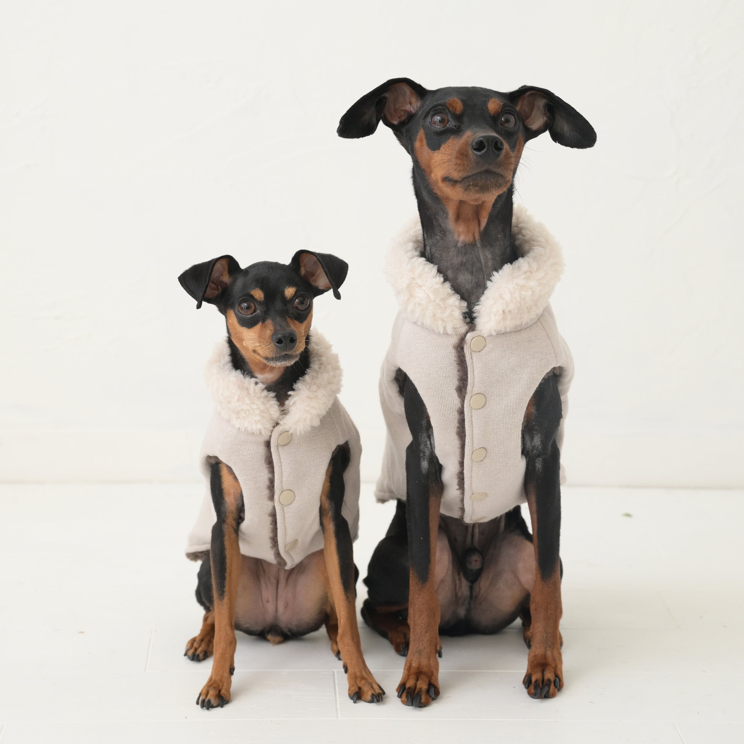 PONODOG&（SELECT BRANDS） | おしゃれな犬服と愛犬の食事なら谷根千の