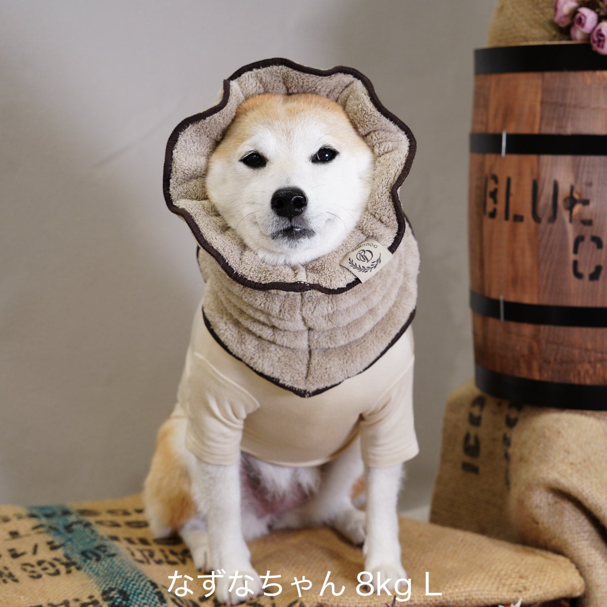 数量限定 PONODOG（ポノドッグ）タオル地スヌード コーヒー｜PONODOG&