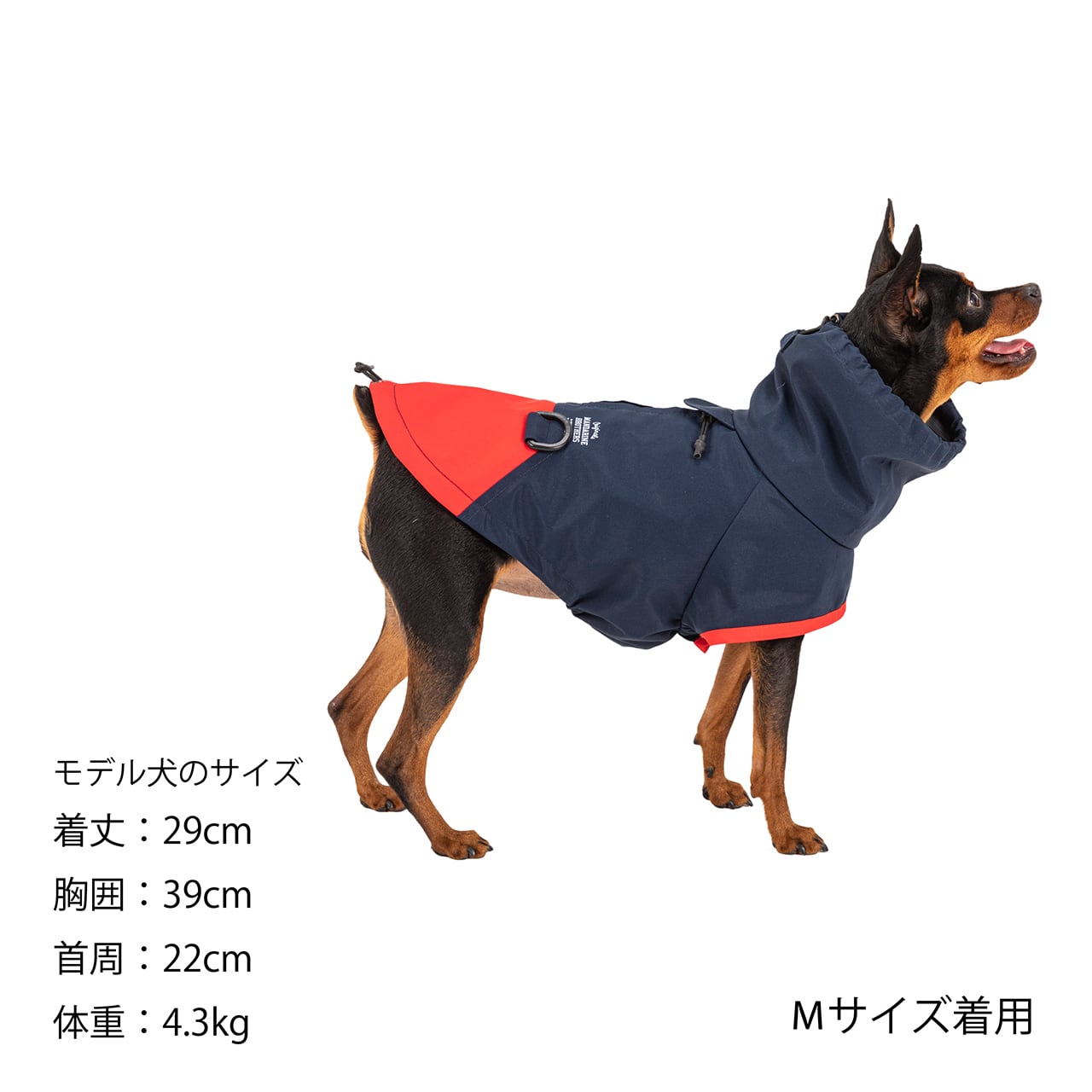 MANDARINE BROTHERS｜マンダリンブラザーズ | おしゃれな犬服と愛犬の