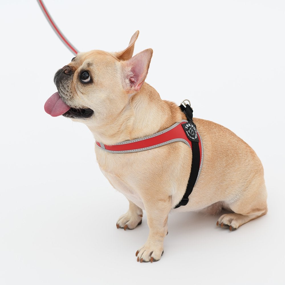 Tre Ponti (トレポンティ)Fibbia adjustable type SOFT MESH フィッビア ソフトメッシュ 調節可能 TRE PONTI（トレポンティ）Fibbia adjustable type REFLECTIVE