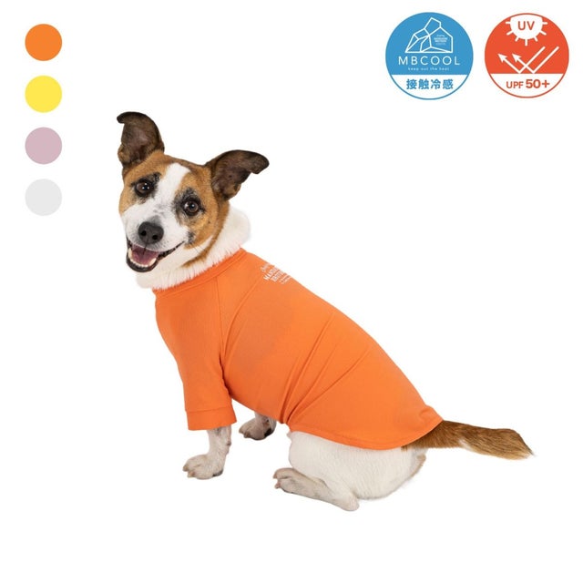 おしゃれな犬服と愛犬の食事なら谷根千の谷根犬