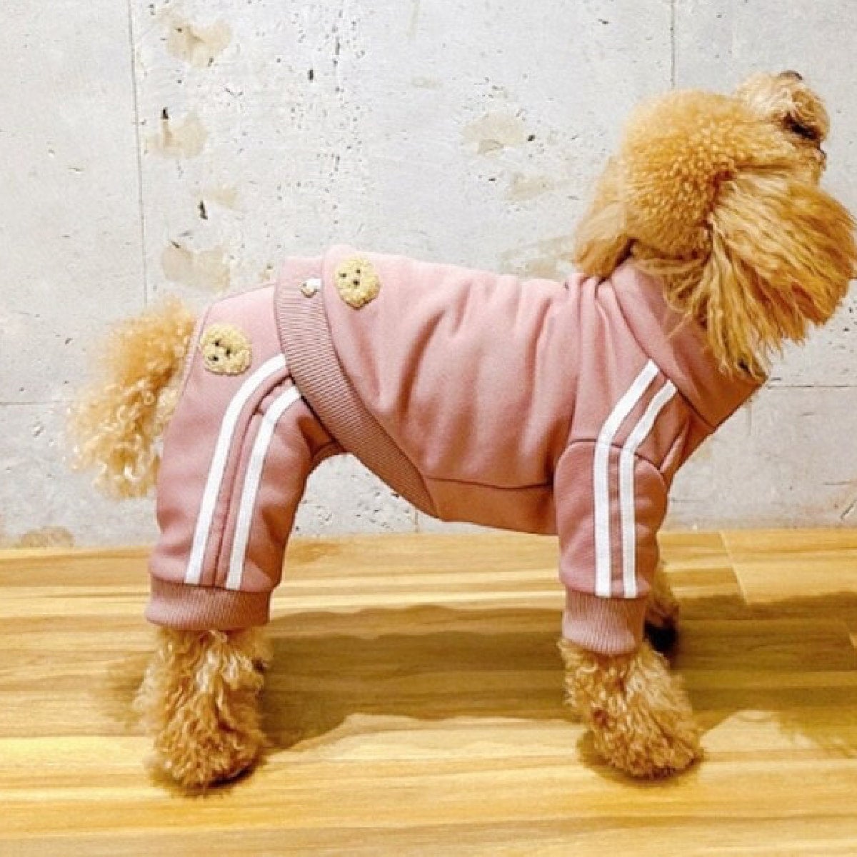 Denim rose（デニムローズ）ワッペンジャージパンツ｜PONODOG&自由が丘