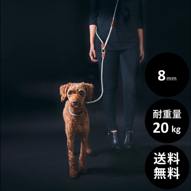 HIGH5DOGS｜ハイファイブドッグ | おしゃれな犬服と愛犬の食事なら谷根千の谷根犬