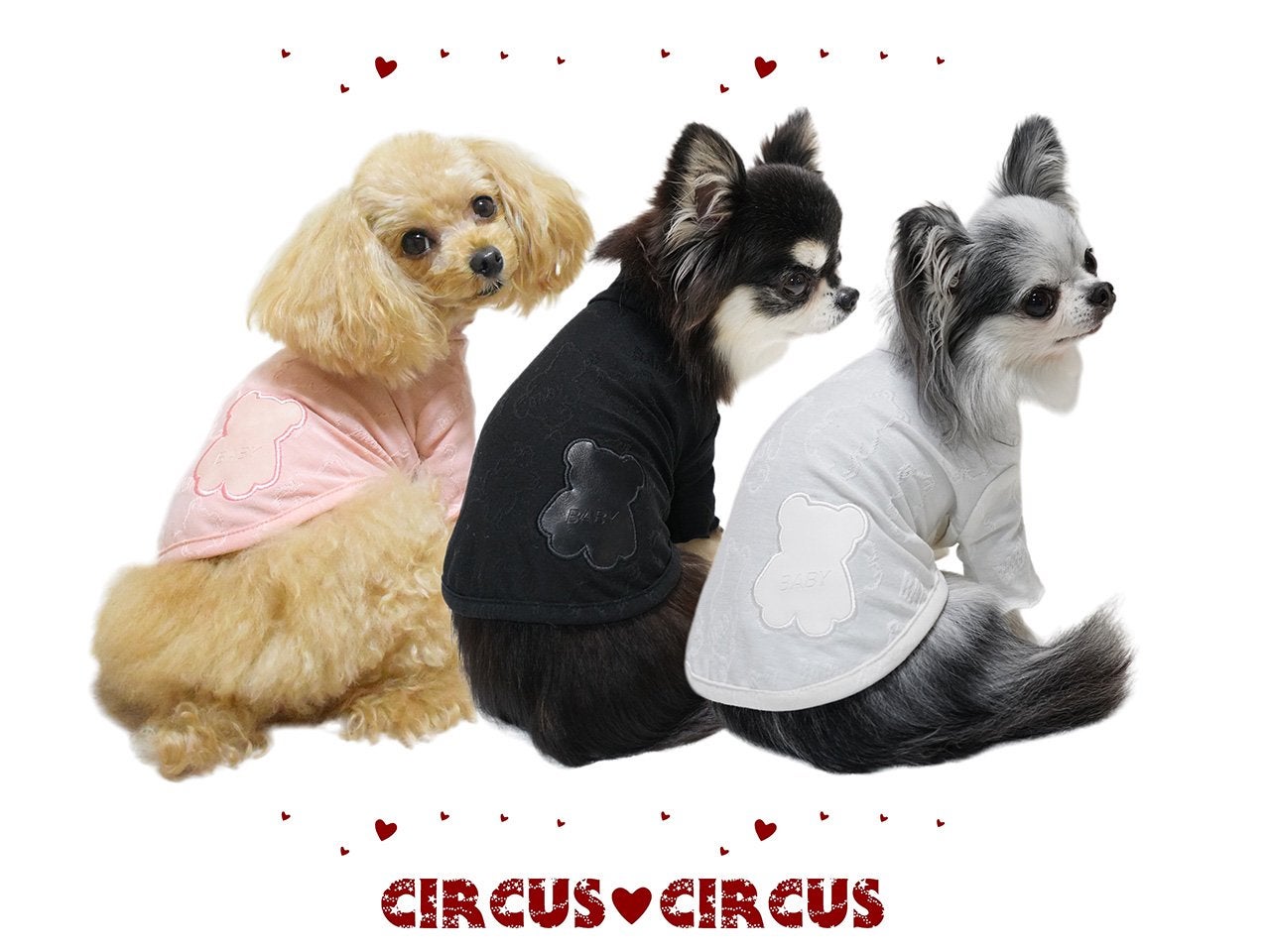 circus circus（サーカスサーカス）Many Bear T M, Lサイズ ゆう