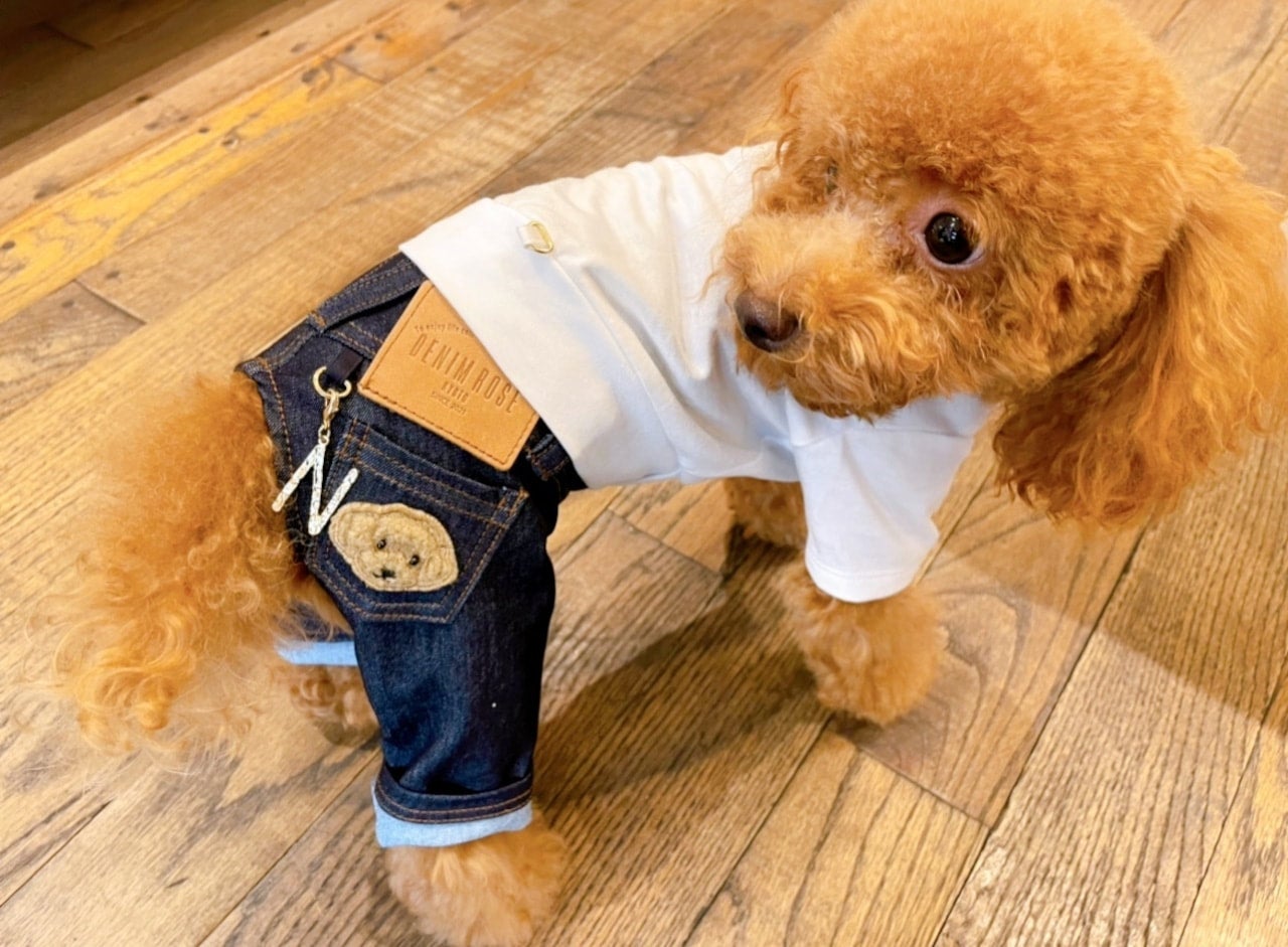 最終値下げ Denim ゆうパケット rose（デニムローズ）ワッペンデニムパンツ ベッド・マット・カバー