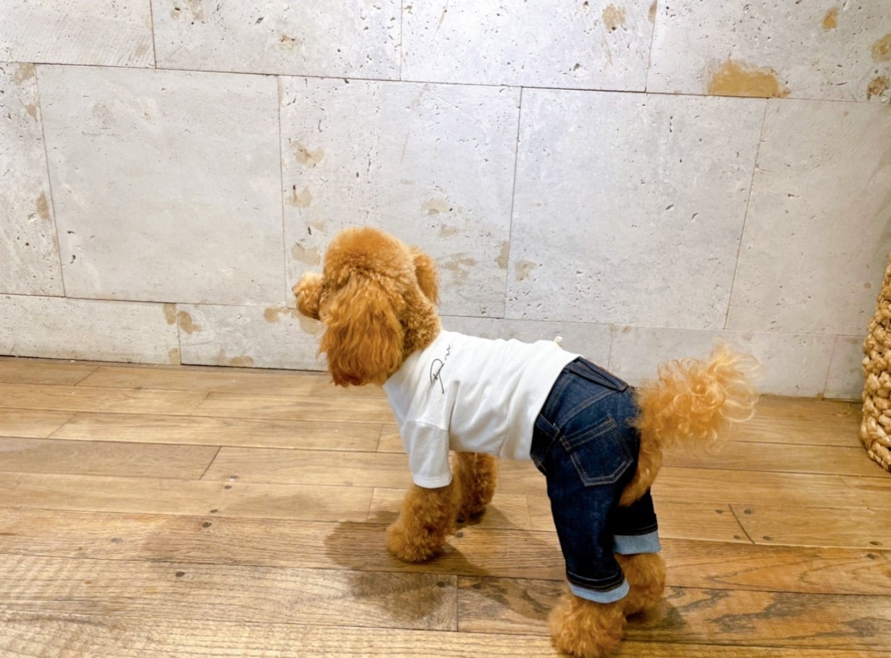 DENIM ROSE ワッペンデニムスカート 犬 ワンピース 【デニム